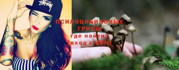 крисы Протвино