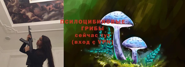 марки lsd Абаза