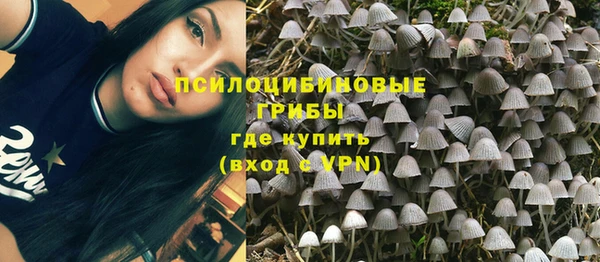 марки lsd Абаза