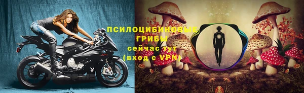 марки lsd Абаза